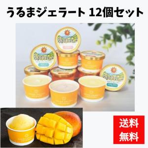 万果 沖縄マンゴーゼリーセット（10個）【送料無料】 : 沖縄宝島店