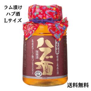 龍泉酒造】 泡盛漬 ハブ入り ハブ酒 40度 420ml : 沖縄石垣島のお