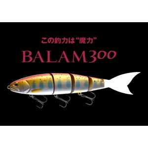EverGreen マドネスXエバーグリーン バラム245 菊元俊文 E.G.