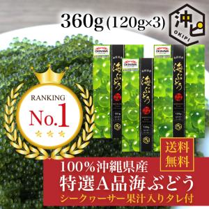 海ぶどう 100％沖縄県産 特選A品 シークヮーサー タレ付き 360g(120g×3パック) 沖ピ 送料無料 お取り寄せ グルメ ギフト 父の日｜沖ピ