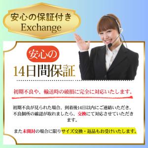 コットンショーツ オールマイティ スポーツイン...の詳細画像4