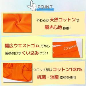 コットンショーツ オールマイティ スポーツイン...の詳細画像2