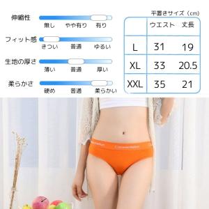 コットンショーツ オールマイティ スポーツイン...の詳細画像3