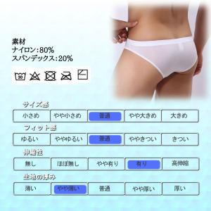 3枚セット ユニセックスショーツ シースルー ...の詳細画像5