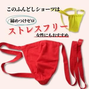 ふんどし 褌 コットンショーツ ふんどしショー...の詳細画像3