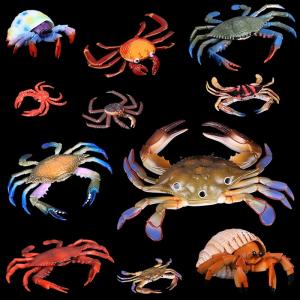 食べ物 モデル フィギュア 撮影道具 カニ偽ワタリガニ上海蟹を模した海洋動物ロブスター小認知置物｜okita-shop