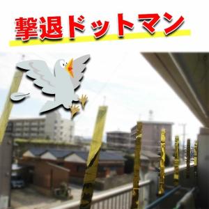 鳩よけグッズ ベランダ  はと むくどり  はとよけ 撃退ドットマン ベランダ用テープセット8枚入｜okitatami