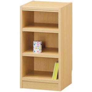 フリーラック　タナリオ　ＴＮＬ-６０３１　ＮＡ