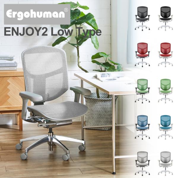 【レビューでクーポン進呈】エルゴヒューマン エンジョイ２ EJ2-LAM ランバーサポート 肘調節 ...