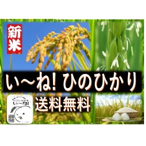 【令和５年産】ひろしまの米　い〜ね！ヒノヒカリ5ｋｇ送料無料【売れ筋】｜okm-seomaisho