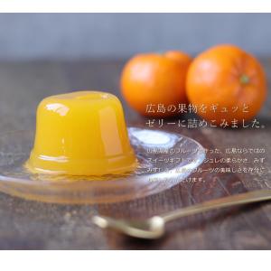 フルーツゼリー 詰め合わせ 広島のジュレ 12...の詳細画像4