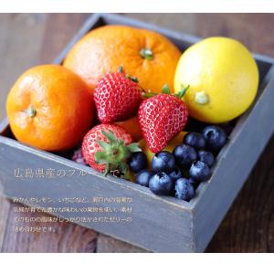 フルーツゼリー 詰め合わせ 広島のジュレ 12...の詳細画像5