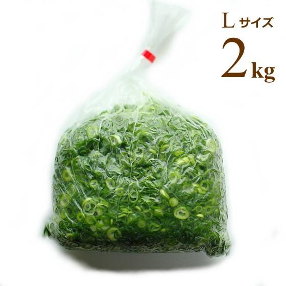 広島県産ネギ カットねぎ 青ねぎ Lサイズ 2kg 業務用食材 仕入れ ネギ根元サイズ15mm以上