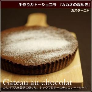 チョコレートケーキ カカオの煌めき 12cm 広島 名物 スイーツ ケーキ ギフト 内祝い お返し 誕生日 お菓子 母の日 父の日 産直 カスターニャ｜okodepa