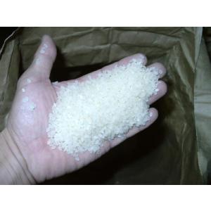 玄米10kg×1袋 令和7年産ミルキークイーン...の詳細画像1