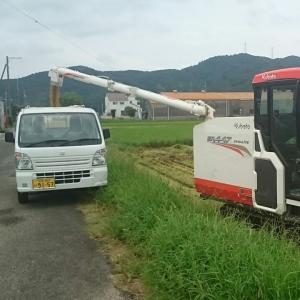 玄米10kg×1袋 令和7年産ミルキークイーン...の詳細画像5