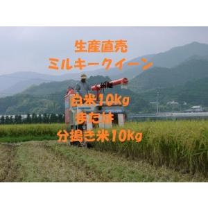 10kg×1袋 令和7年産新米 ミルキークイーン...の商品画像