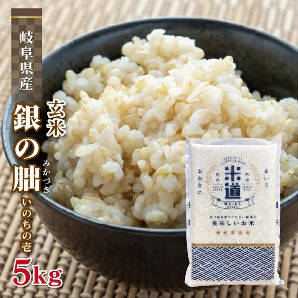 銀の朏 いのちの壱 米 5kg 令和2年産 岐阜県産  米 5キロ 米5kg 米5キロ 白米 送料無...