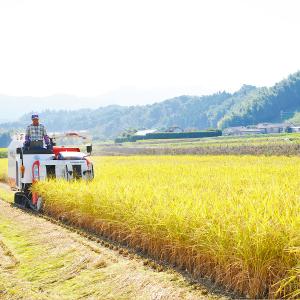 セール 玄米 一等 30kg 令和7年産 国内...の詳細画像5