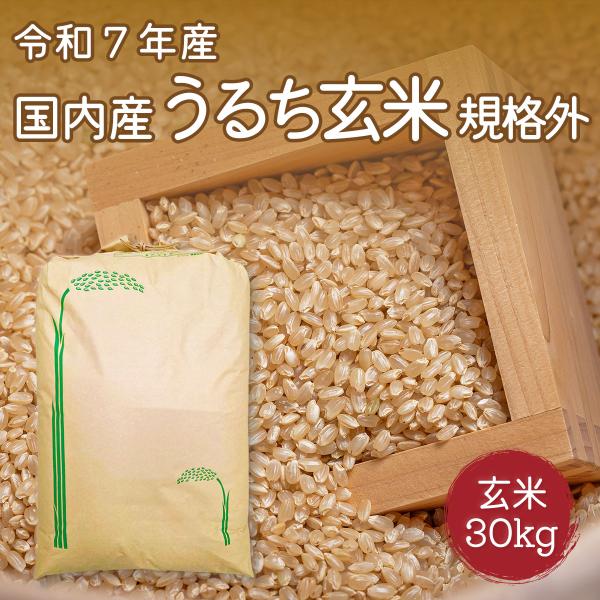 お買い得玄米 令和7年産 国産うるち玄米 規格外 30kg