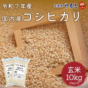 【1,500オフクーポン】コシヒカリ 10kg (5kg×2本) 玄米 令和7年産米 国内産