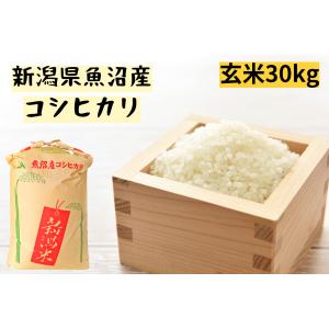 玄米　令和5年産 新潟県魚沼産コシヒカリ　1等　30kg