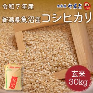 令和7年産京都丹後米　コシヒカリ　玄米30キロ 玄米 30kg コシヒカリ 京都丹後産 「令和7年産」 : 京丹後のお米 三浦