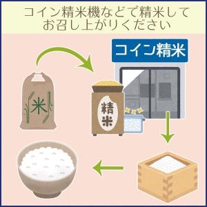 魚沼 玄米 コシヒカリ 30kg 特A 新潟県...の詳細画像2