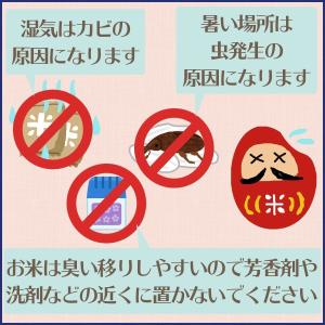 魚沼 玄米 コシヒカリ 30kg 特A 新潟県...の詳細画像4