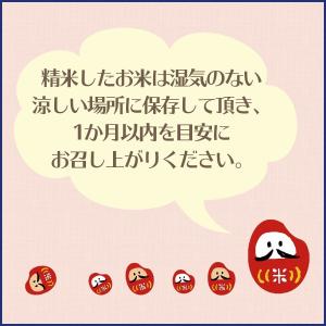 魚沼 玄米 コシヒカリ 30kg 特A 新潟県...の詳細画像5