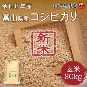 あきたこまち うご 玄米30kg 1等 秋田県産 JAうご 令和7年産 【精米料