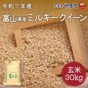 令和6年　宮城県産　ミルキークイーン　玄米30キロ 楽天市場】令和6年産 宮城県産ミルキークイーン30kg 玄米 5分 7分 精