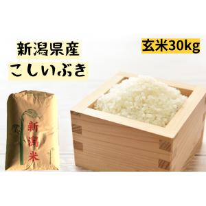 玄米　令和3年産　新潟県産こしいぶき　1等　30kg　