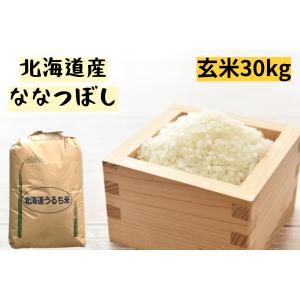 玄米　令和5年産　北海道産ななつぼし　1等　30kg　