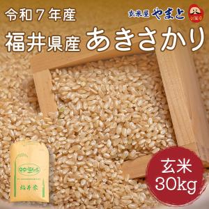 ②山口市産　新米30キロ　コシヒカリ 令和7年産新米！】山口県産コシヒカリ 3kg こしひかり 単一原料米