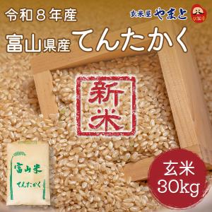 栃木県産 なすひかり玄米 30kg 令和7年産 お試し価格 令和7年産 栃木県産 なすひかり 玄米30kg(精米無料) 送料