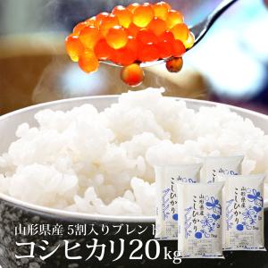 【華金SALE】山形県庄内産　令和7年新米コシヒカリ20kg コシヒカリ 令和7年 20kg(5kg×4袋) 山形県産 お米 (玄米・白米・無洗米