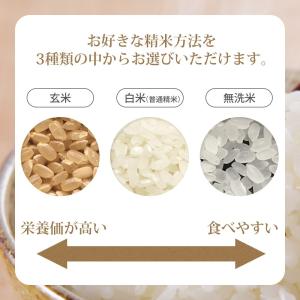 令和7年 米 つや姫 20kg (無洗米/白米...の詳細画像4