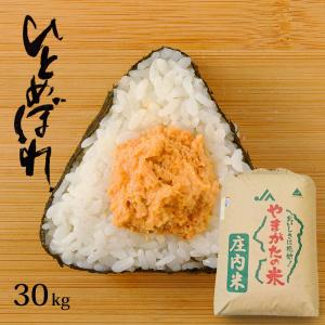 ササニシキ 米 20kg 送料無 銘柄米ブレンド(ひとめぼれ/はえぬき