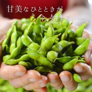 【ポイント10倍】「8月中旬〜下旬ころ発送」 ...の詳細画像1