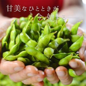 【ポイント10倍】「8月中旬〜下旬ころ発送」 ...の詳細画像1