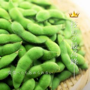 【ポイント10倍】「8月中旬〜下旬ころ発送」 ...の詳細画像2