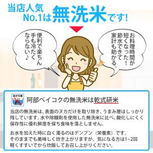 令和7年 米 はれわたり 10kg (無洗米/...の詳細画像5