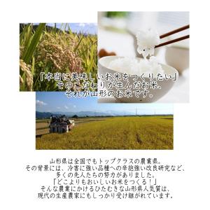 お米 30kg (5kg×6袋) 米屋仕立て ...の詳細画像1