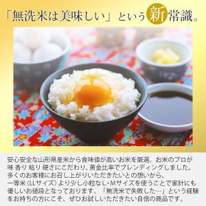 無洗米 30kg (5kg×6袋) こつぶ姫 ...の詳細画像1