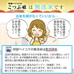 無洗米 30kg (5kg×6袋) こつぶ姫 ...の詳細画像2