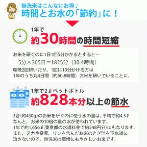 無洗米 5kg (5kg×1袋) こつぶ姫 国...の詳細画像4