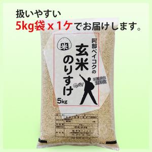 玄米 5kg (5kg×1袋) のりすけ 国内...の詳細画像4