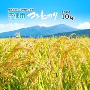 令和5年産 無農薬 コシヒカリ 10kg (5kg×2袋) 山形県庄内産 特別栽培米(化学肥料不使用・農薬不使用) お米 (玄米・白米・無洗米)精米方法選べます