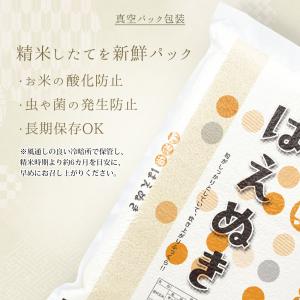 令和7年 お米 5kg 山形県産 はえぬき 真...の詳細画像1